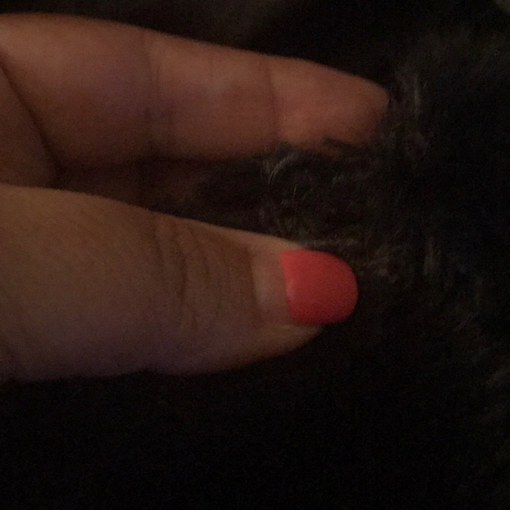 Jacket - Picture 6 of 6